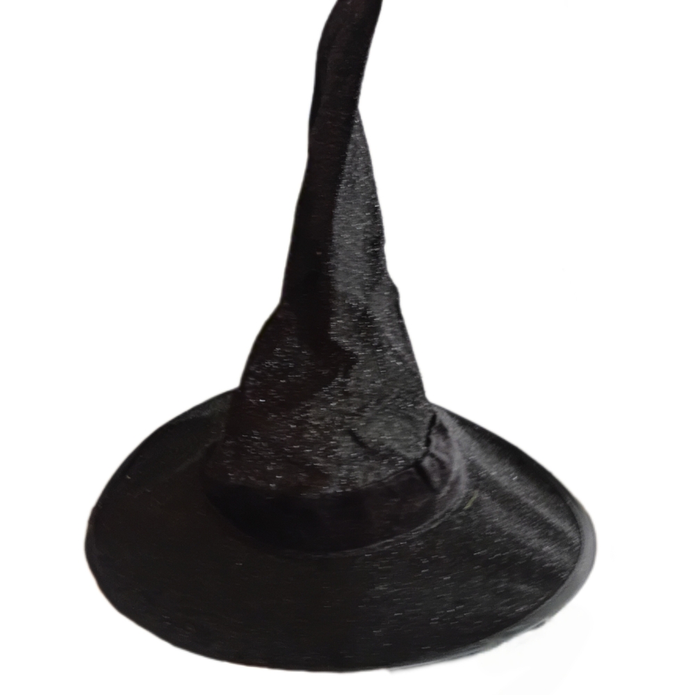 Elegant Black Witch Hat